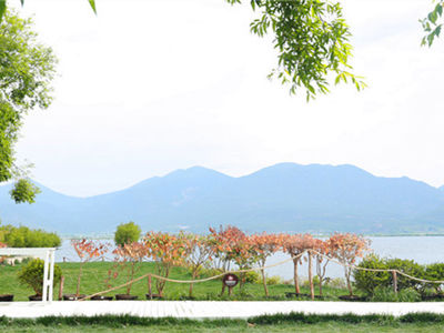 Lashi Lake Wetland Park