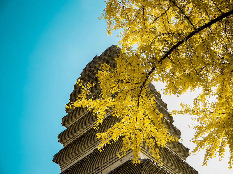 Xiaoyan Pagoda Relic Park