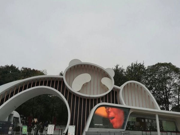 Chengdu: My Journey Through Street Food & Ancient Alleys (4 Days)