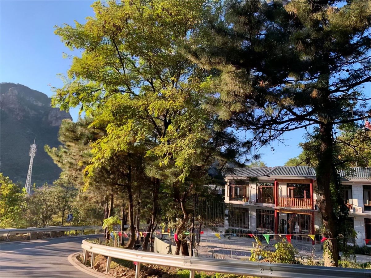 Tianjin Huangya Pass: The Secluded Forest B&B Your Travel Guide Forgot