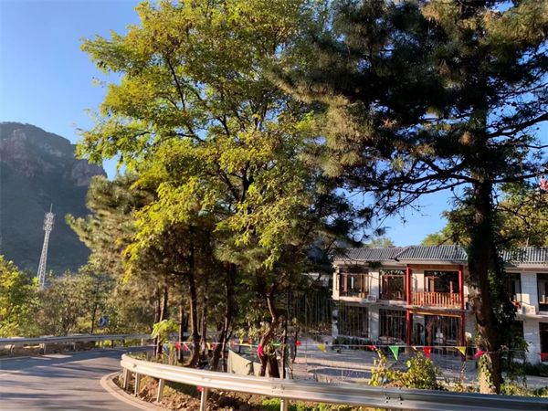 Tianjin Huangya Pass: The Secluded Forest B&B Your Travel Guide Forgot
