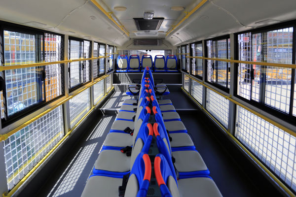 Harbin Tiger Forest & Wetland Park Day Trip