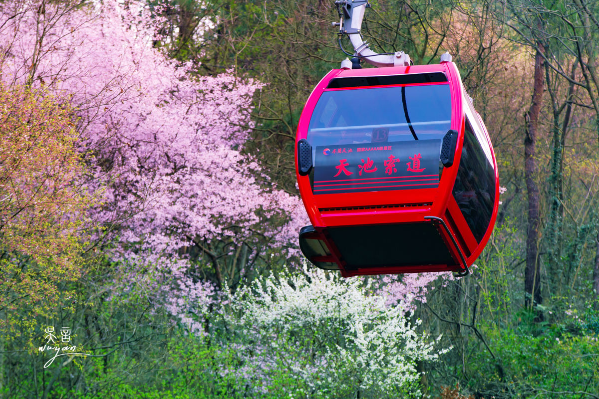 Where Wind Chimes Dance: A Spring Escape to Mulan Tianchi