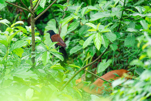 Baiyun Mountain & Yuntai Garden Nature Day Trip