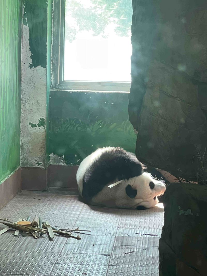 Guangzhou Zoo