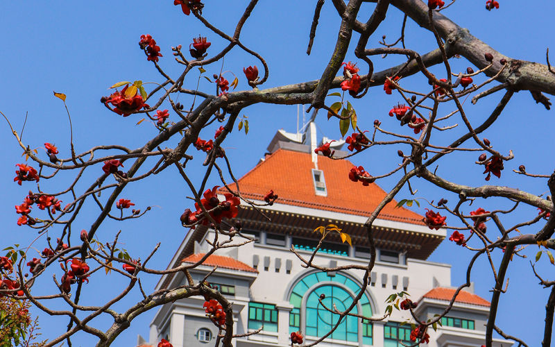 Xiamen University (Siming Campus)