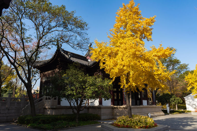 Maple Bridge Scenic Area