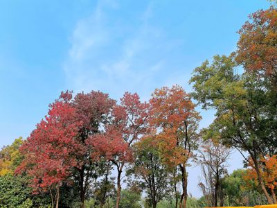 Zhengzhou Yellow River Cultural Park