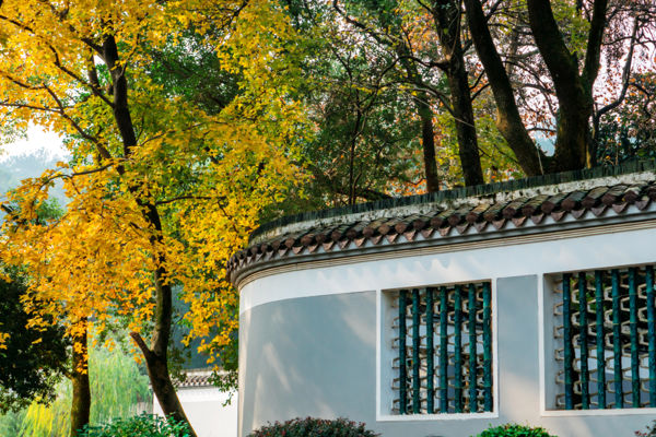 Yuelu Academy & Hunan University Campus Culture Day Tour