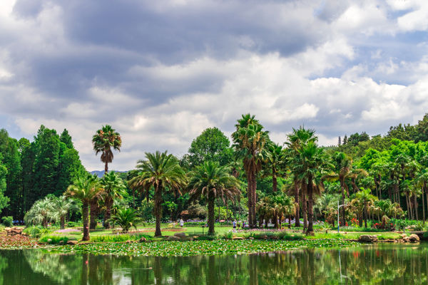 Heilongtan Park & Kunming Botanical Garden Nature Day