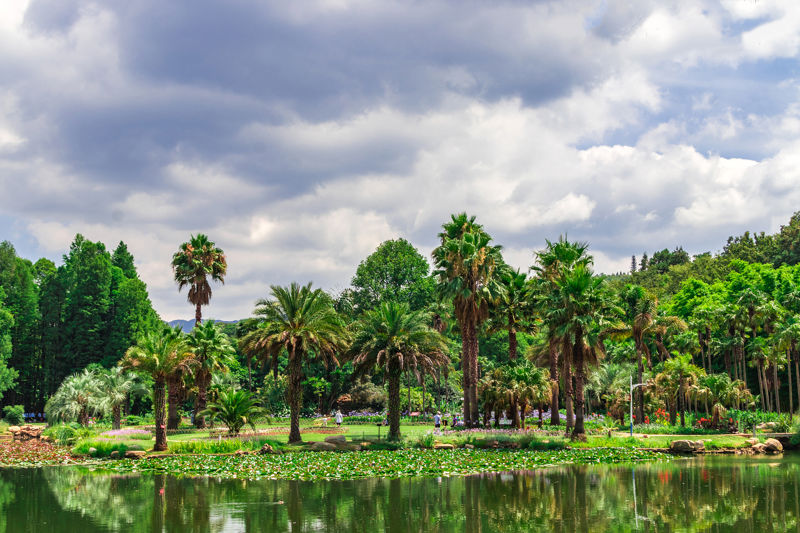 Kunming Botanical Garden