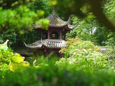 Du Fu Thatched Cottage