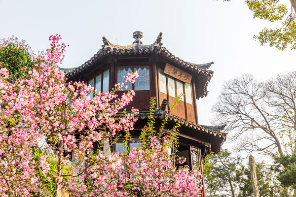 Suzhou Ancient City Stroll: Pagoda, Silk & Garden
