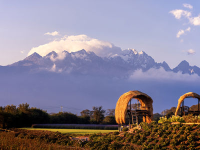 Tinghua Valley – Lijiang Hundred Flowers Garden